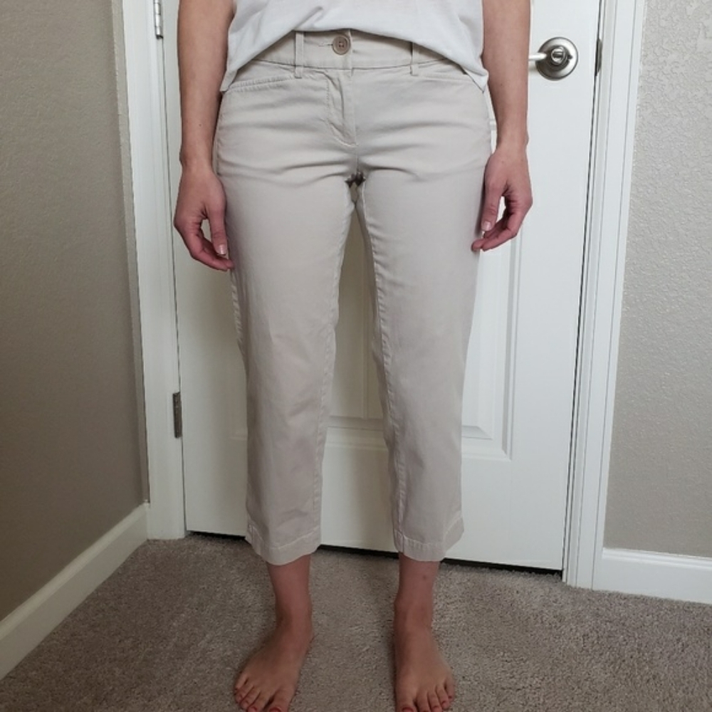 Ann Taylor Loft Marisa Capri (2)